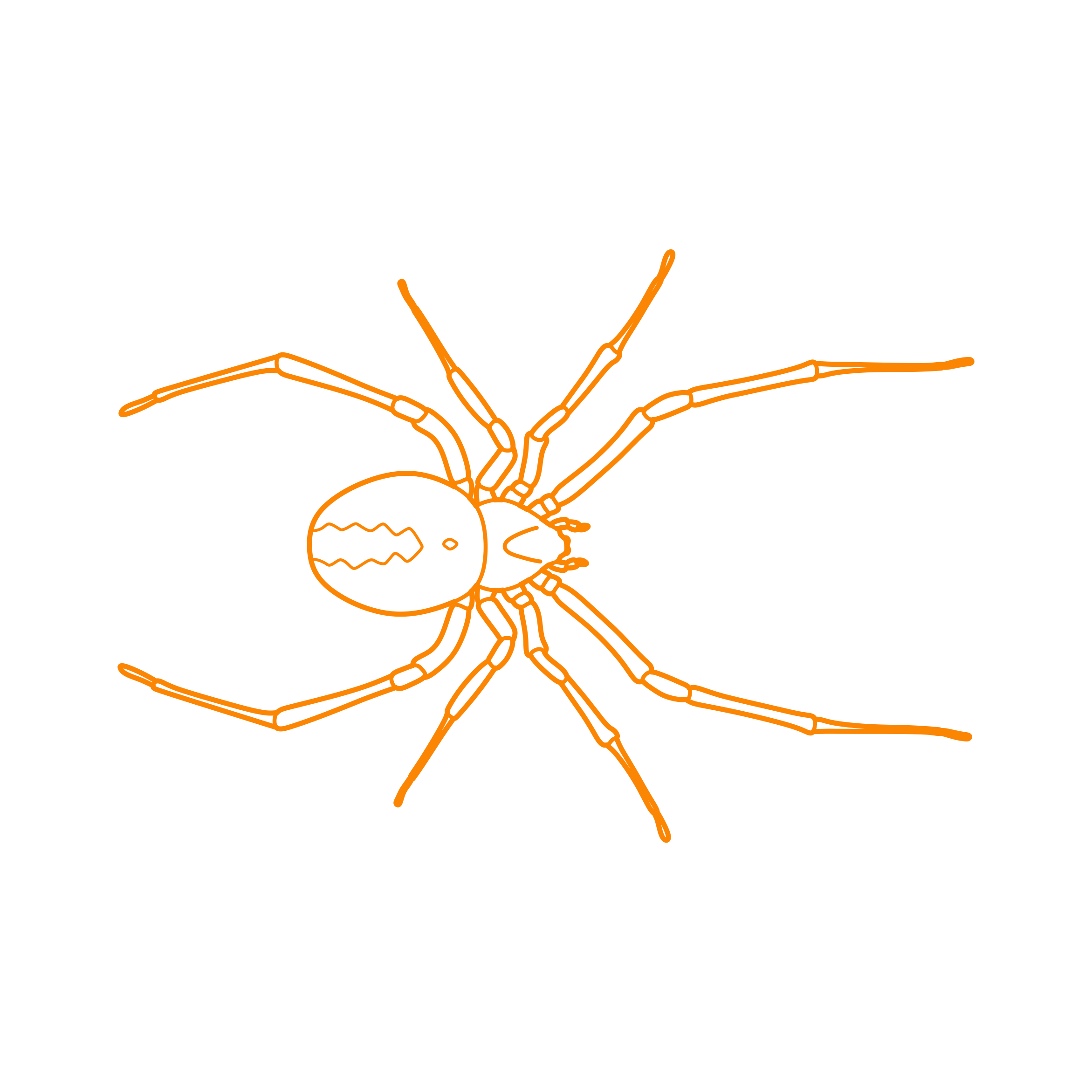 Animals Arachnids Redback Spider Svg Line Art Free Vectors